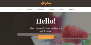 Giglio WordPress Theme 4.0.5.1破解版主题