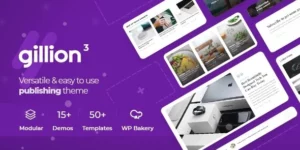 Gillion | Multi-Concept Blog/Magazine Shop WordPress Theme 4.8破解版主题