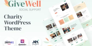 GiveWell Donation Non-profit Website WordPress Theme 1.0.1破解版主题