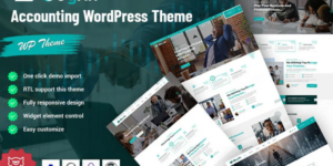 Gogrin Accounting Responsive WordPress Theme 1.0.1破解版主题