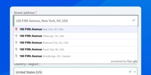 Google Address Autocomplete for WooCommerce By Fluid Checkout 2.3.4破解版插件