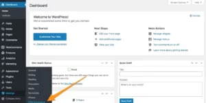 Google Tag Manager for WooCommerce PRO 1.12破解版插件