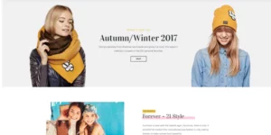 Gordo Responsive WooCommerce WordPress Theme 1.1.0破解版主题