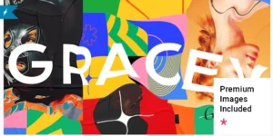 Gracey Creative Portfolio Theme 1.0破解版主题