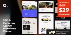 Granola SEO Marketing Agency WordPress Theme 1.1破解版主题