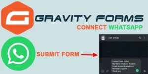 Gravity Forms Connect WhatsApp 1.1破解版插件