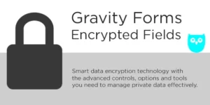 Gravity Forms Encrypted Fields 6.2.2破解版插件