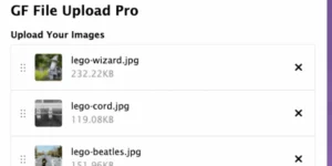 Gravity Forms File Upload Pro 1.4.1破解版插件