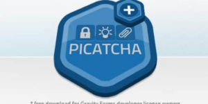 Gravity Forms Picatcha Add-On 2.0破解版插件