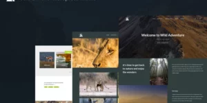 Gravity Traveler WordPress Theme WordPress Theme 5.5.12破解版主题
