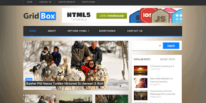 OboxThemes Flatpack WordPress Theme 1.5.4破解版主题