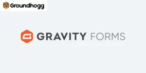 Groundhogg – Gravity Forms Integration 2.0.6.1破解版插件