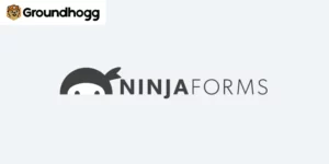 Groundhogg – Ninja Forms Integration 2.0.2破解版插件