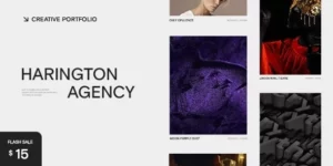 Harington Creative Portfolio Theme 2.1破解版主题