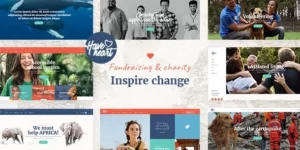 HaveHeart Fundraising and Charity Theme 1.2破解版主题