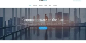 Hayford Investment Consulting Services Responsive WordPress Theme 1.2.3破解版主题