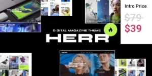 Herr Digital Magazine Theme 1.0破解版主题