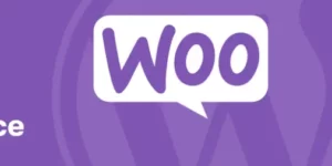 Hide Shipping Method For WooCommerce Pro 1.4.0破解版插件