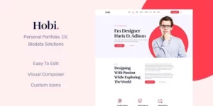 Hobi Personal Portfolio WordPress Theme 1.0.7破解版主题