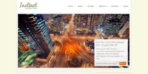 INSTINCT ELEGANT BLOG WORDPRESS THEME 1.1.2破解版主题