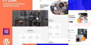 ITBIN IT Solution and Business Service WordPress Theme 1.0.0破解版主题