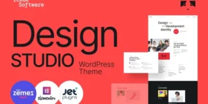 Icedk-Software Design studio WordPress Theme 1.0.1破解版主题