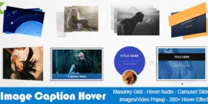 Image Caption Hover Pro WordPress Plugin 19.2破解版插件
