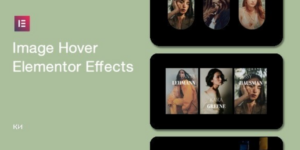 Image Hover Elements for Elementor 1.0.1破解版插件