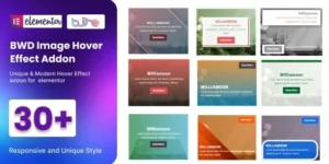 Image Overlay Addon For Elementor 1.0破解版插件