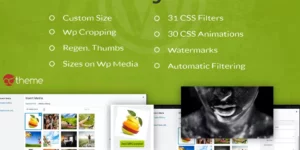 Imager — Amazing Image Tool for WordPress 1.5破解版插件