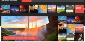 Immunity WordPress Theme 1.2.3破解版主题