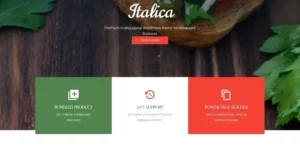 Indian Restaurant Responsive WordPress Theme 1.0.0破解版主题