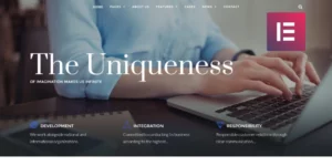 Instructee Consulting Services WordPress Elementor Theme WordPress Theme 1.0.0破解版主题