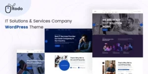 Itodo IT Solutions Services Company WordPress 1.0破解版主题