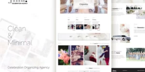 Jina Celebration Agency WordPress Theme 1.6破解版主题