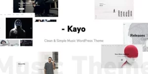 Kayo Clean and Simple Music WordPress Theme 1.4.0破解版主题
