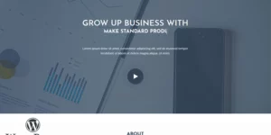 Kinger Personal Business Portfolio Landing WordPress Theme 1.0.0破解版主题