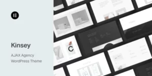 Kinsey – AJAX Agency WordPress Theme 1.9.2破解版主题