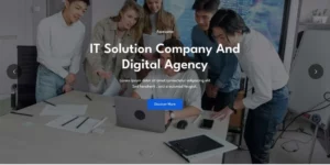 Kirana IT Solution Landing Page WordPress Theme 1.0.0破解版主题