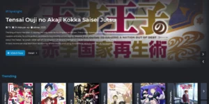 Kiranime Anime Streaming WordPress Theme 1.4.0破解版主题