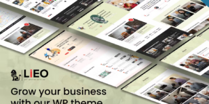 LIEO Business Consulting WordPress Theme 1.0.3破解版主题