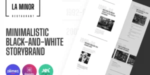 La Minor Minimalistic Black-and-white Storybrand WordPress Theme 1.0.0破解版主题