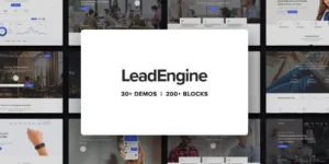 LeadEngine 4.3.0破解版主题