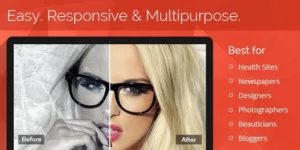 Lets-Box | Box plugin for WordPress 2.10.3.1破解版插件