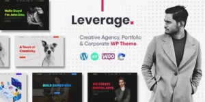 Leverage 2.2.7破解版主题