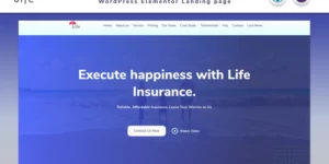 Life Insurance Сompany Landing page with Blog Elementor WordPress Theme 1.1破解版主题