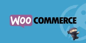 LifterLMS WooCommerce Extension 2.5.2破解版插件