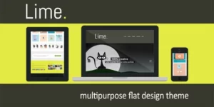Lime – Flat WordPress Theme 1.12破解版主题