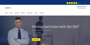 LimitTax Auditing and Accounting WordPress Theme 1.0.0破解版主题