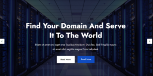 Locker Responsive Web Hosting WordPress Themes 1.0.0破解版主题